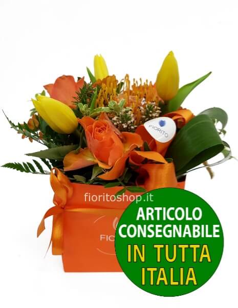 Cubotto colori caldi